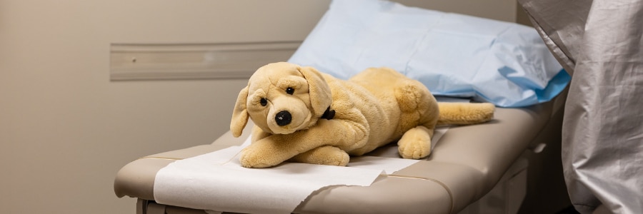 stuffed dog toy on patient exam bed